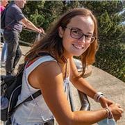 Doy clases particulares de lenguaje musical, solfeo y armonía para iniciación y nivel básico